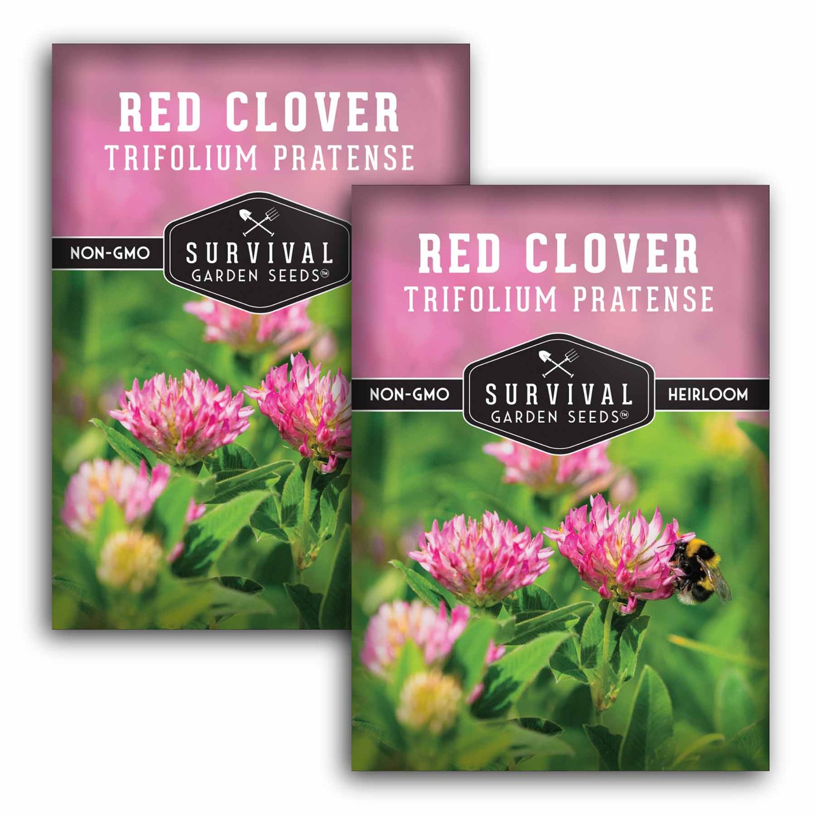 CloverRed-1.2.jpg