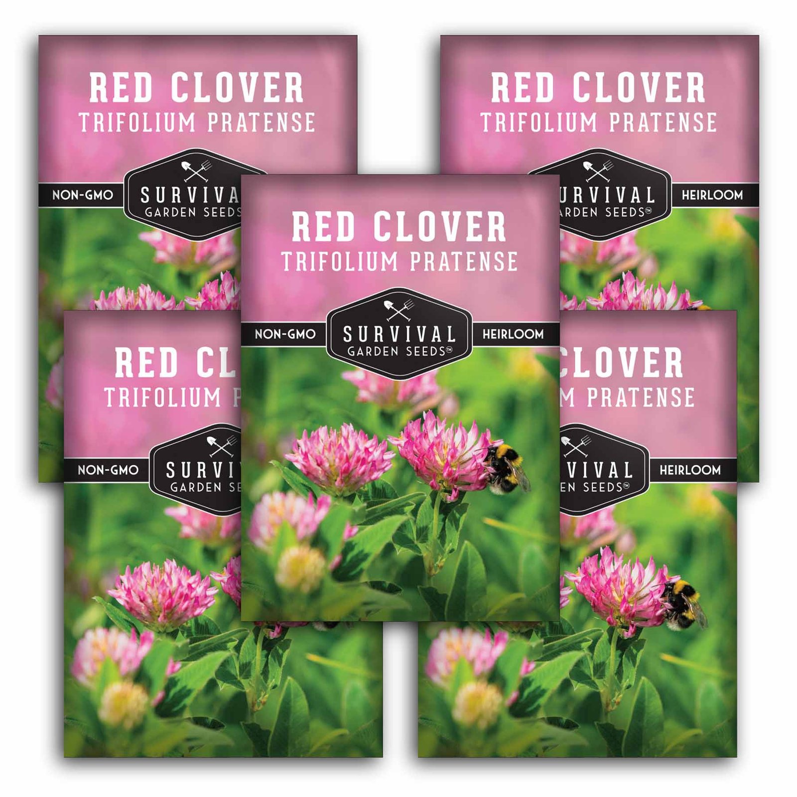 CloverRed-1.4.jpg