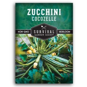 Cocozelle Zucchini Seeds – Italian Heirloom Bush Squash with Ribbed Striped Fruit