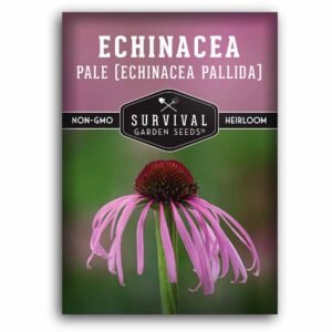 Pale Purple Coneflower Seeds (Echinacea pallida) – Native Perennial Wildflower for Pollinator Gardens, Herbal Use & Drought-Tolerant Landscapes