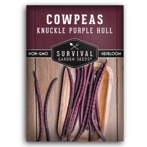 Knuckle Purple Hull Cowpea Seeds – High-Yield Bush Cowpeas with Sweet, Tender Flavor