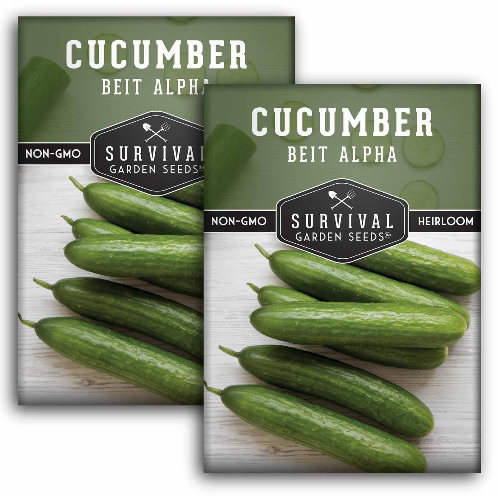 Cucumber-Beit-Alpha-01.2.jpg