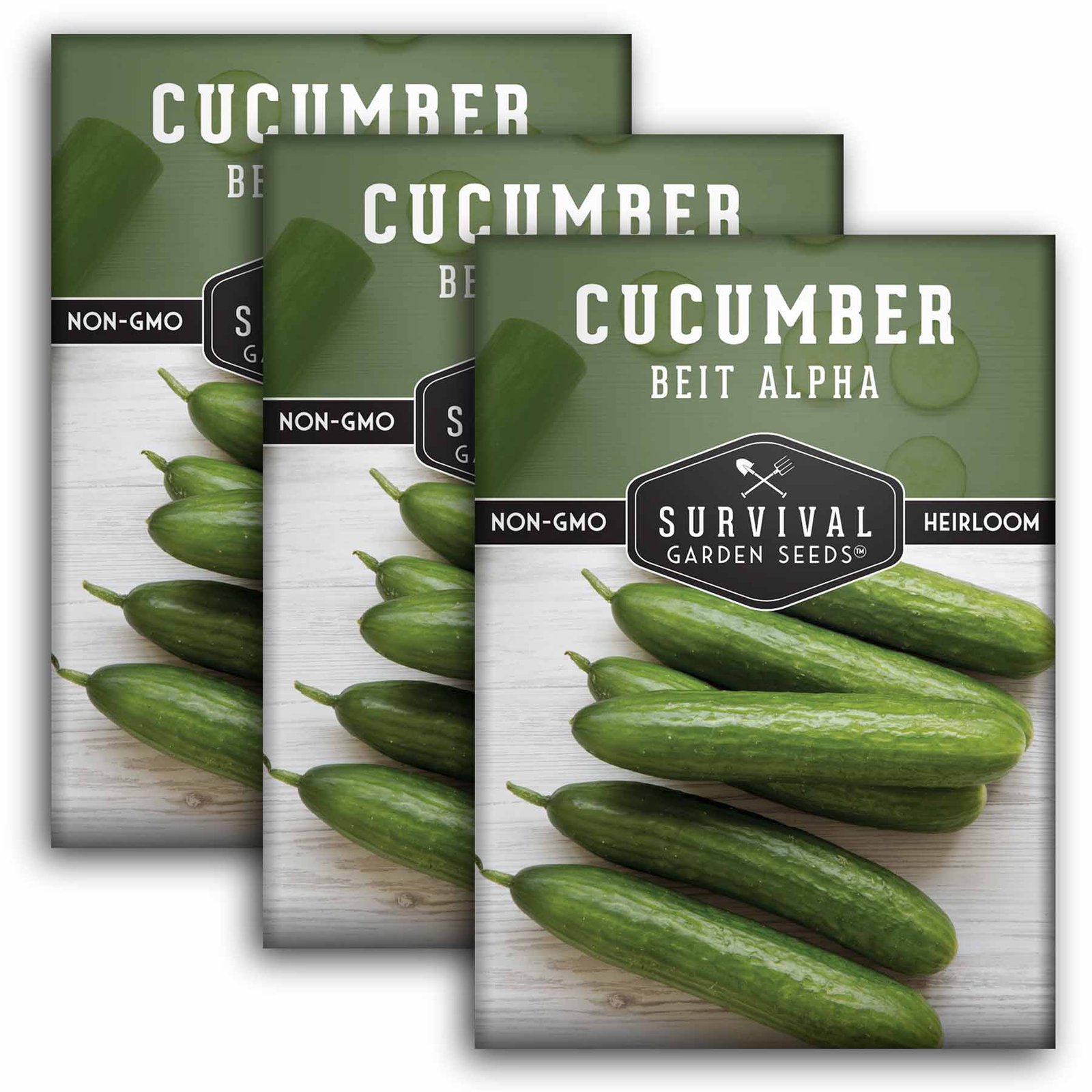 Cucumber-Beit-Alpha-01.3.jpg
