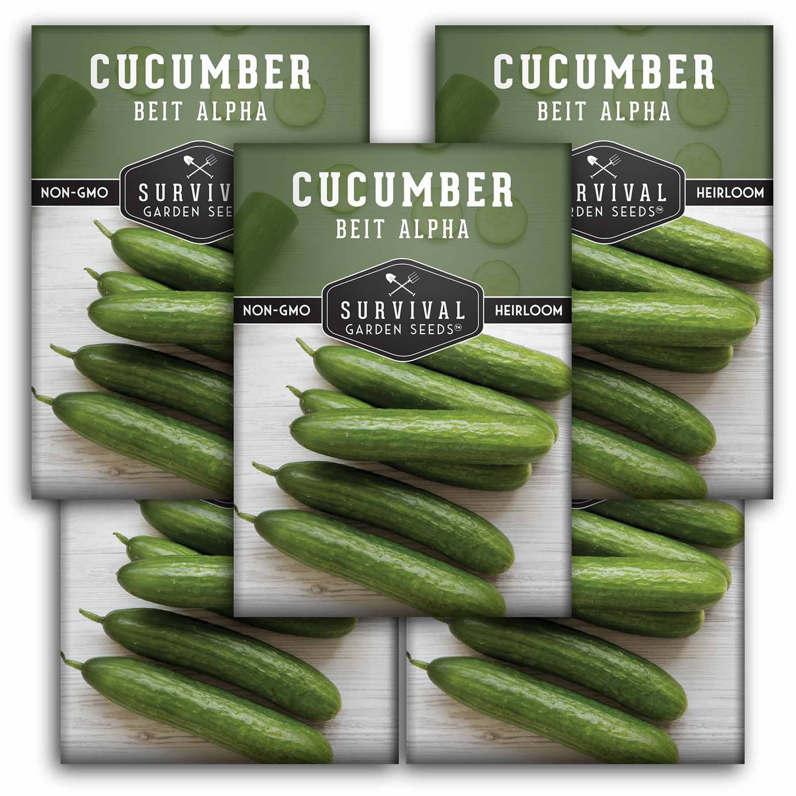 Cucumber-Beit-Alpha-01.5.jpg