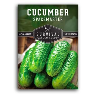 Spacemaster Cucumber Seeds – Compact Heirloom Bush Variety for Containers, Patios & Small Garden Spaces