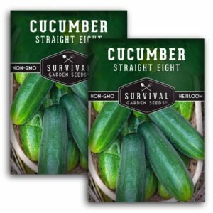 Straight Eight Cucumber Seeds – Classic Heirloom Slicing Variety with Crisp, Mild Flavor for Gardens, Beds & Containers