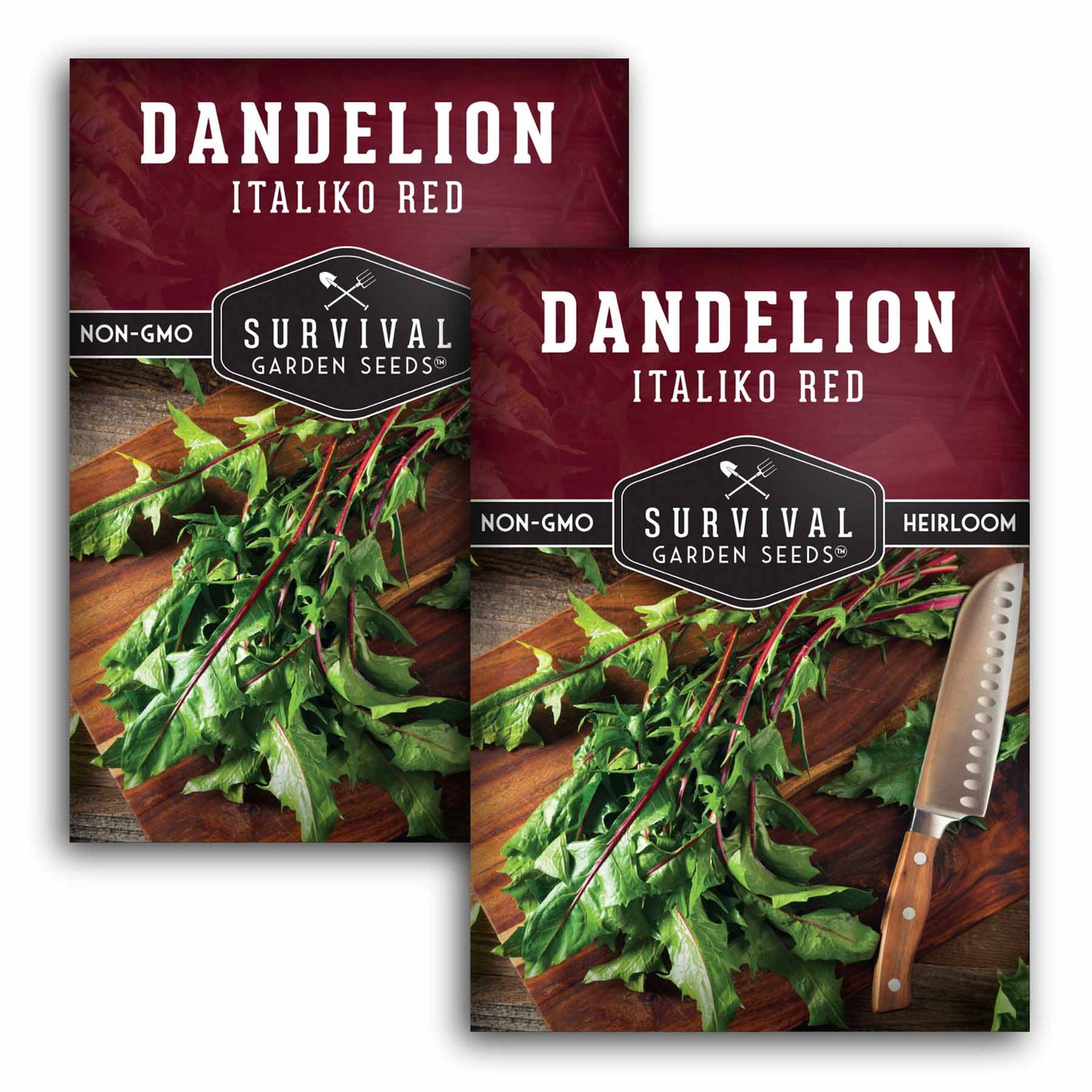 Dandelion_Italiko_Red_1.2.jpg