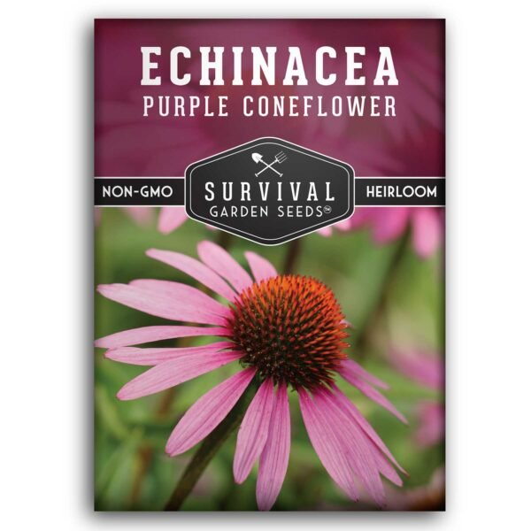 Purple Coneflower Seeds (Echinacea purpurea) – Hardy Native Perennial for Pollinators, Medicinal Herb Gardens & Drought-Tolerant Landscapes
