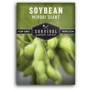 Midori Giant Soybean Seeds – Heirloom Edamame Variety for High-Protein, Compact Home Gardens