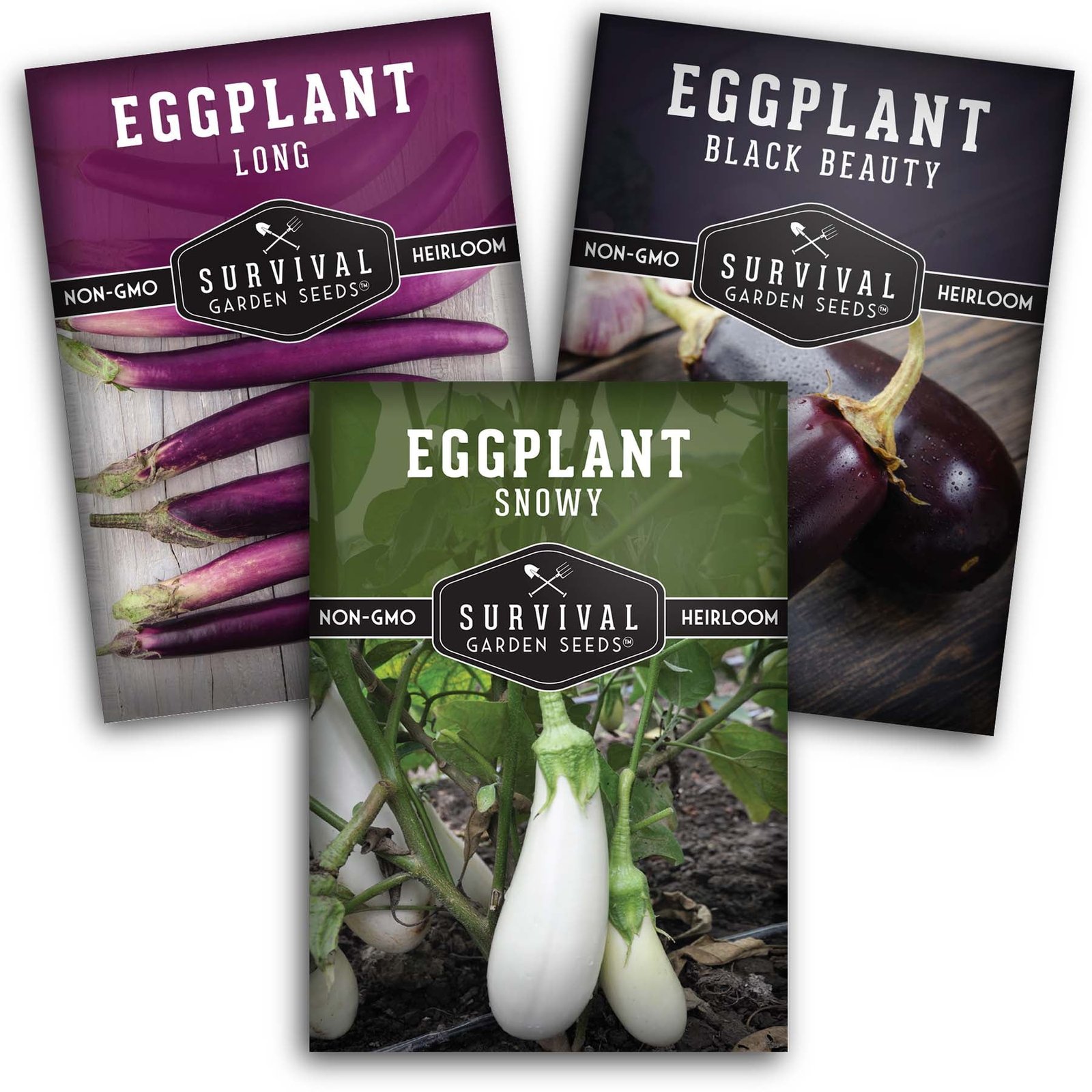 Eggplant-Collection-01.jpg