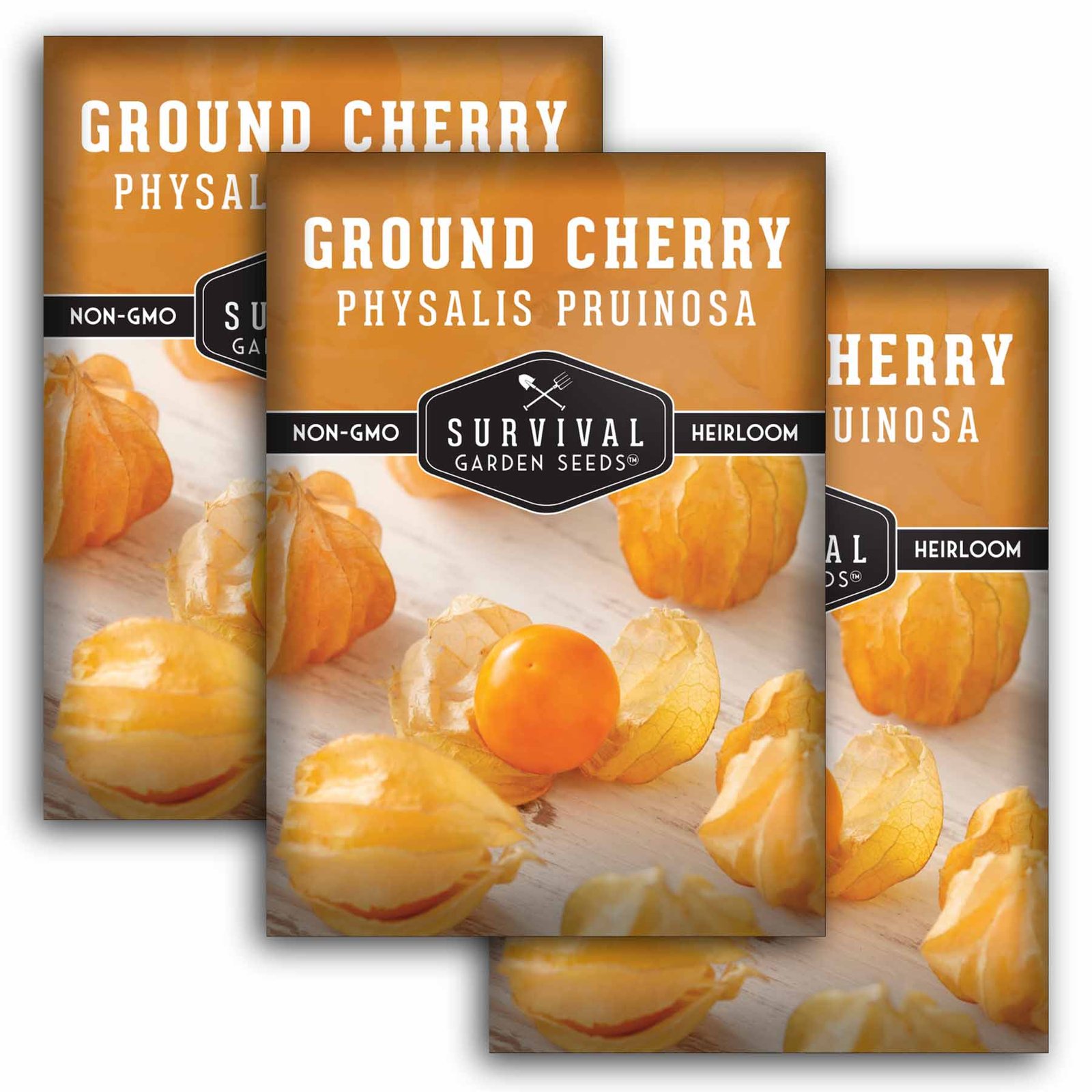GroundCherries-1.3.jpg