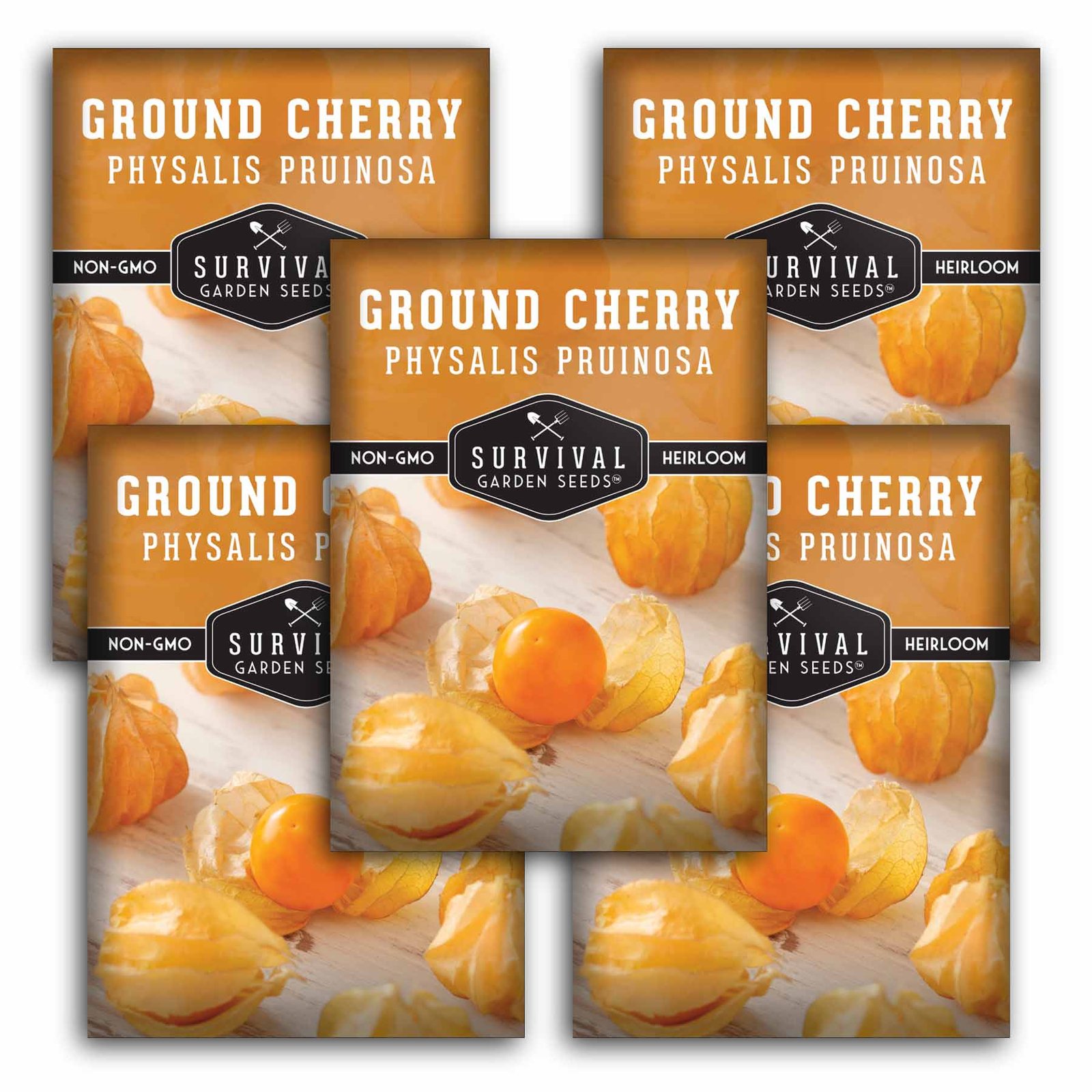 GroundCherries-1.5.jpg