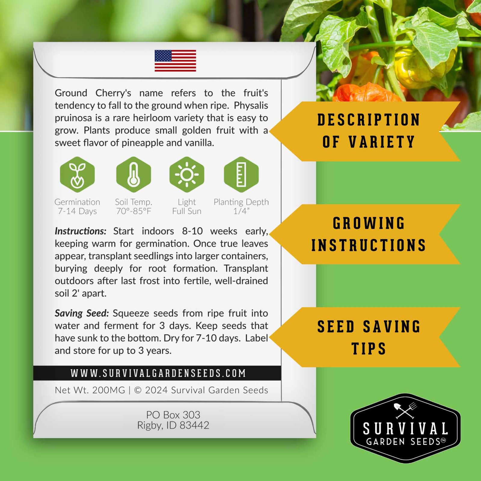 GroundCherries-2.jpg