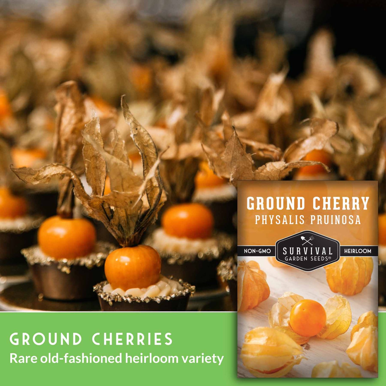 GroundCherries-3.jpg
