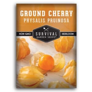 Ground Cherry Seeds – Heirloom Physalis Pruinosa Fruit with Pineapple-Vanilla Flavor for Fresh Eating & Preserves