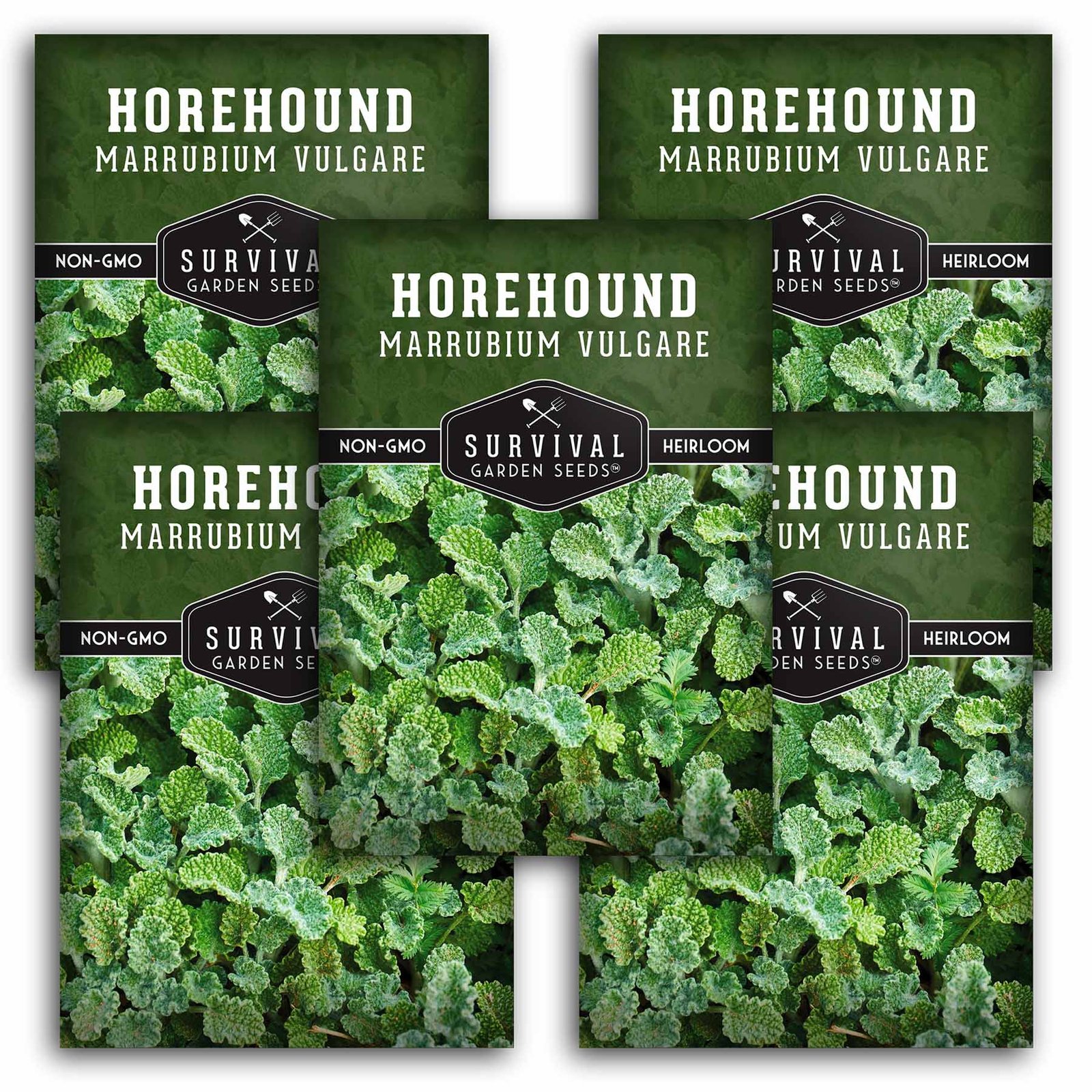 Horehound-01.5.jpg