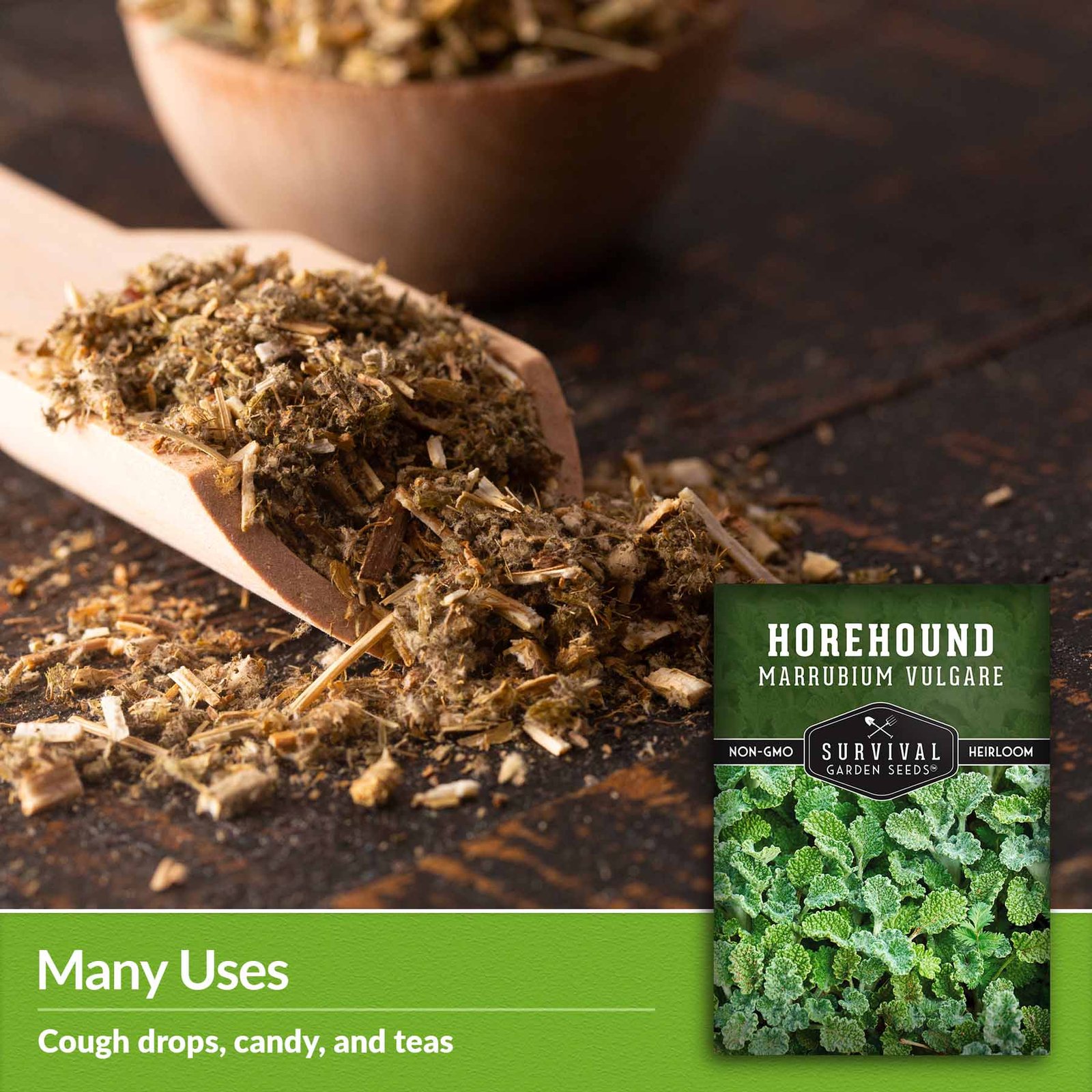 Horehound-04.jpg