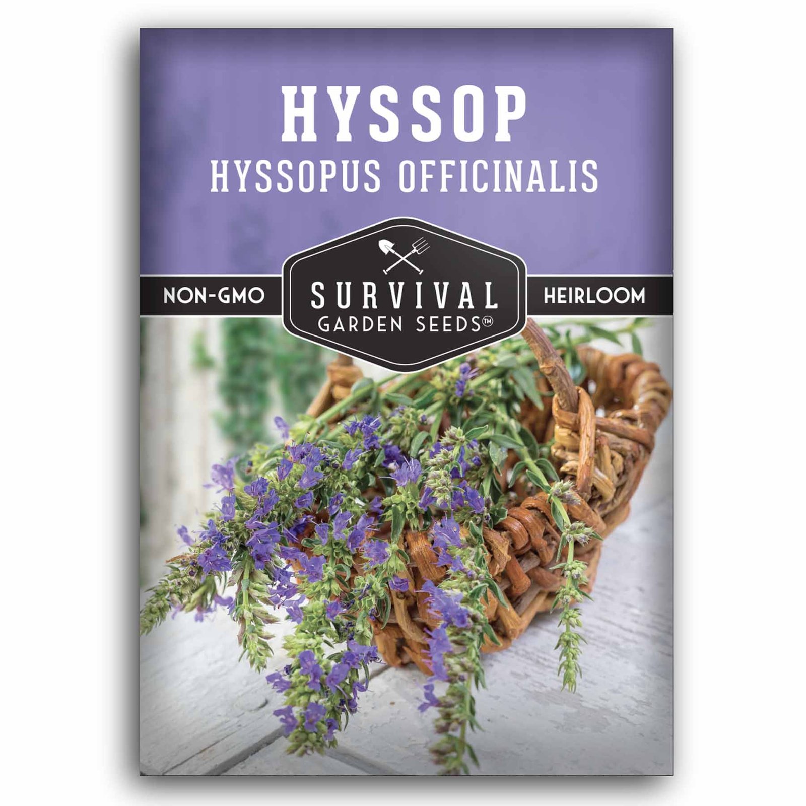 Hyssop-1.1.jpg
