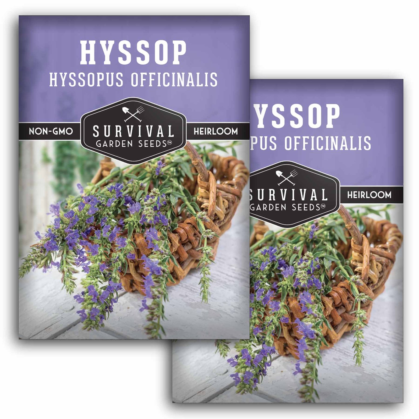 Hyssop-1.2.jpg