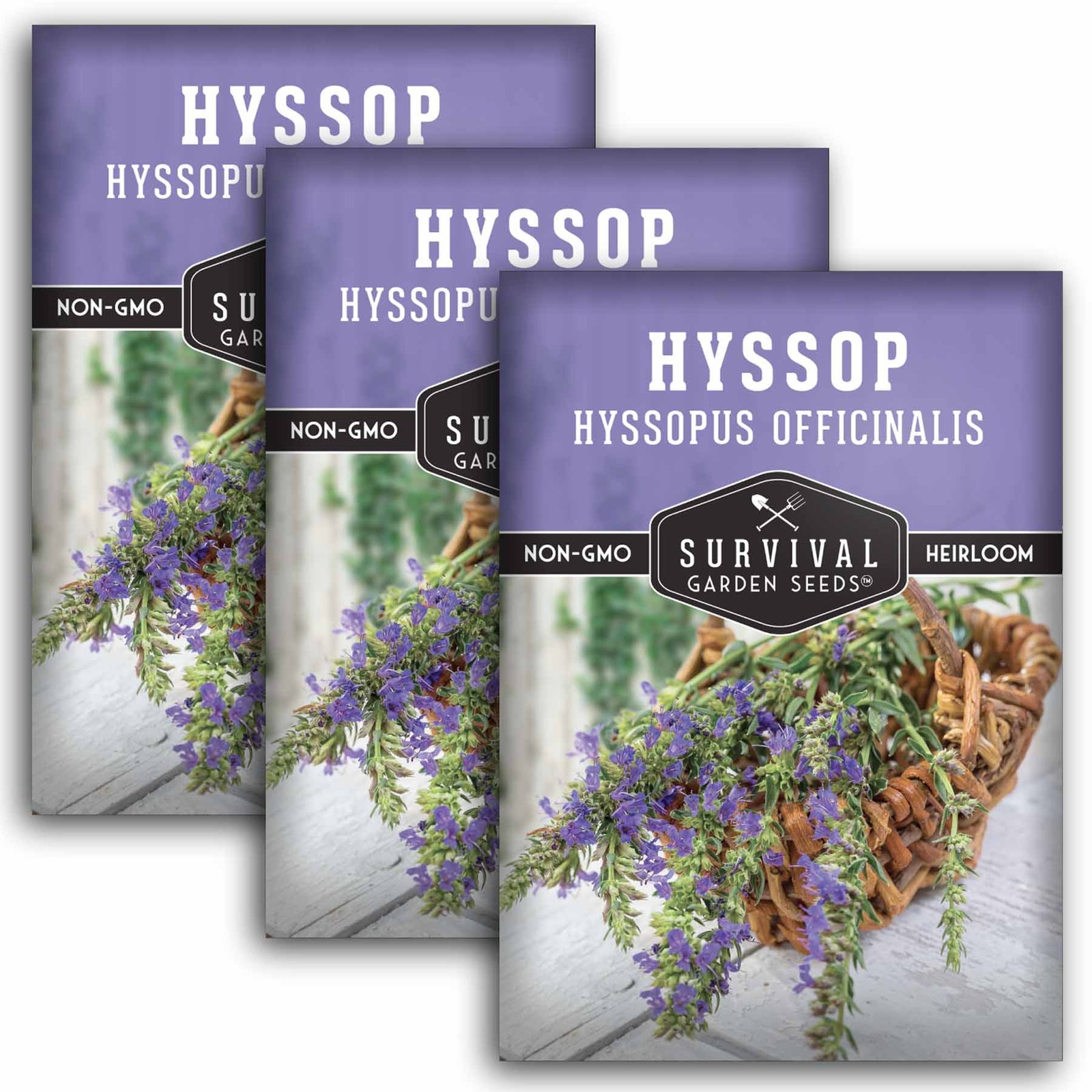 Hyssop-1.3.jpg