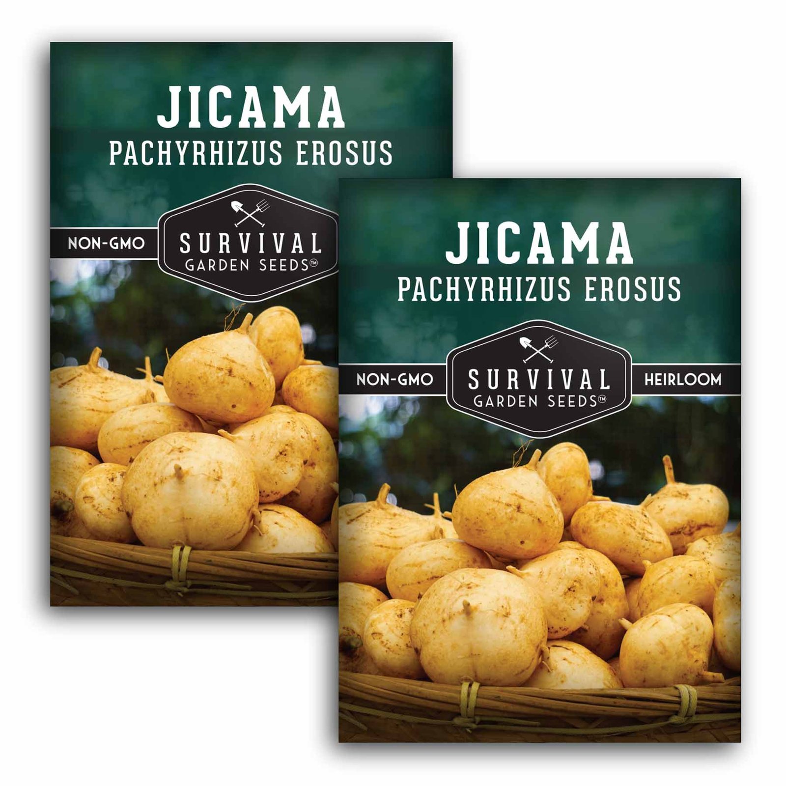 Jicama-1.2.jpg