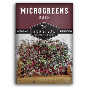 Kale Microgreen Seeds – Non-GMO Heirloom Siberian Kale Seeds for Fast Indoor Growing, Sprouting & Fresh, Mild Greens