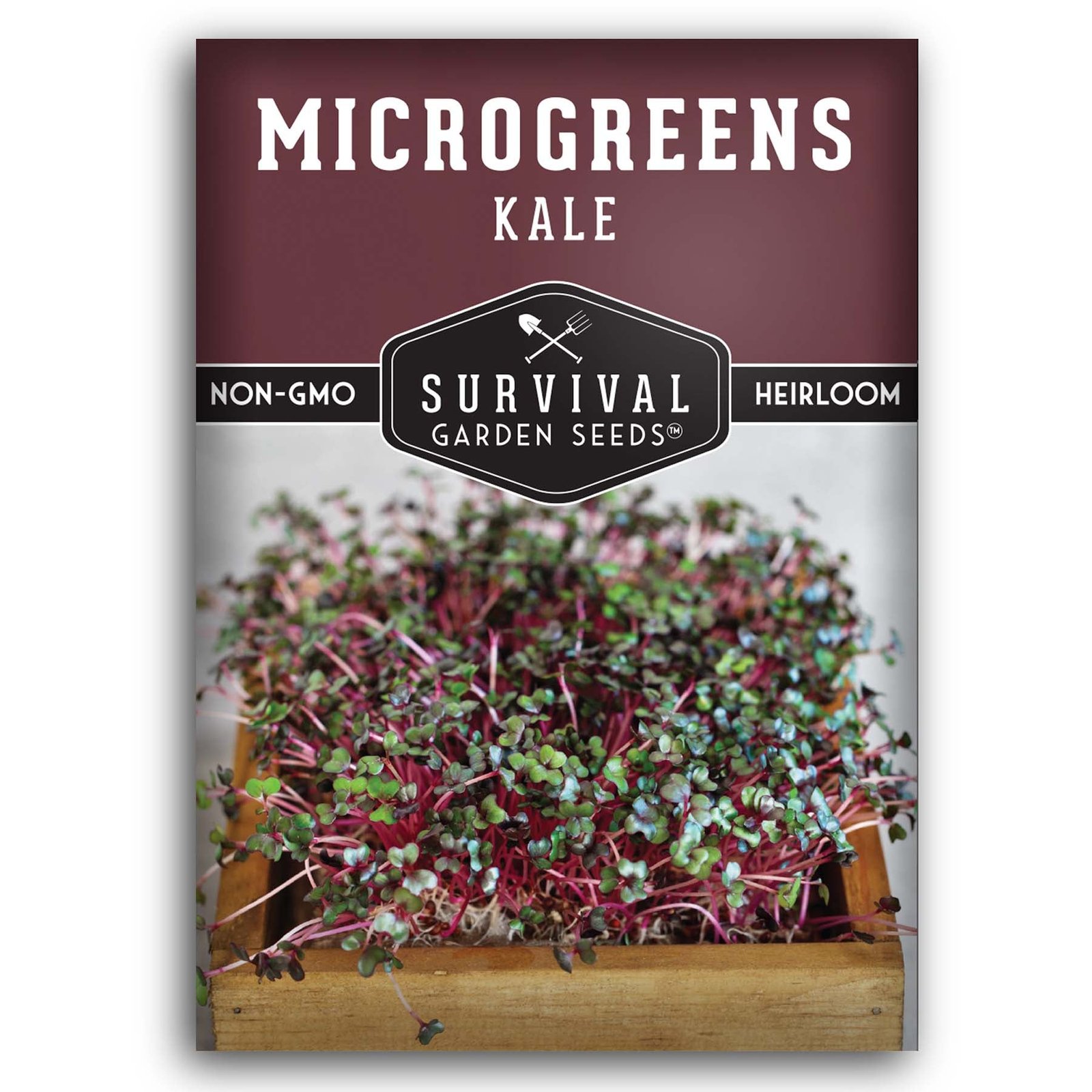 Kale-Microgreens-01.jpg