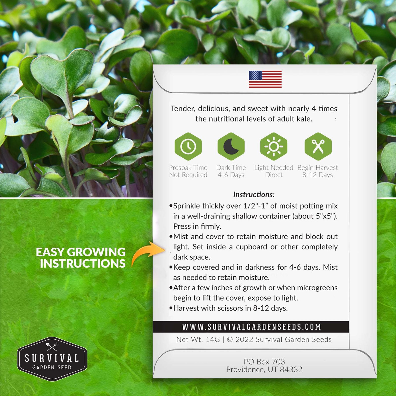 Kale-Microgreens-02.jpg