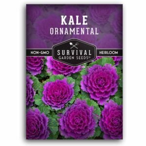 Ornamental Kale Seeds for Planting – Heirloom Flowering Cabbage Variety with Frilly Pink, Purple & White Leaves – Cold Hardy, Non-GMO, Easy to Grow Decorative Kale