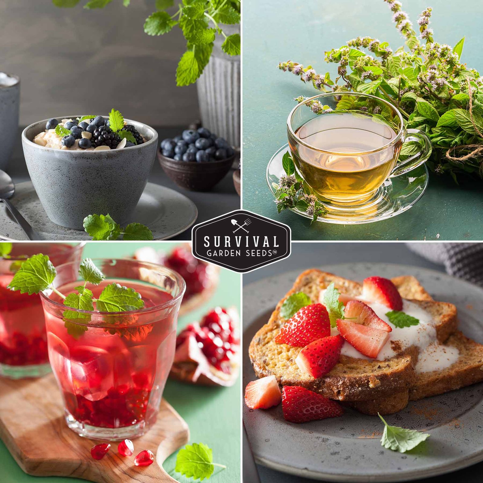 Lemon-Balm-05.jpg