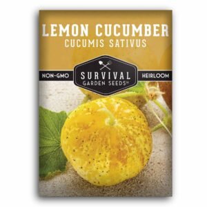 Lemon Cucumber Seeds – Heirloom Yellow Variety with Crisp, Mild Flavor for Salads, Snacking & Pickling