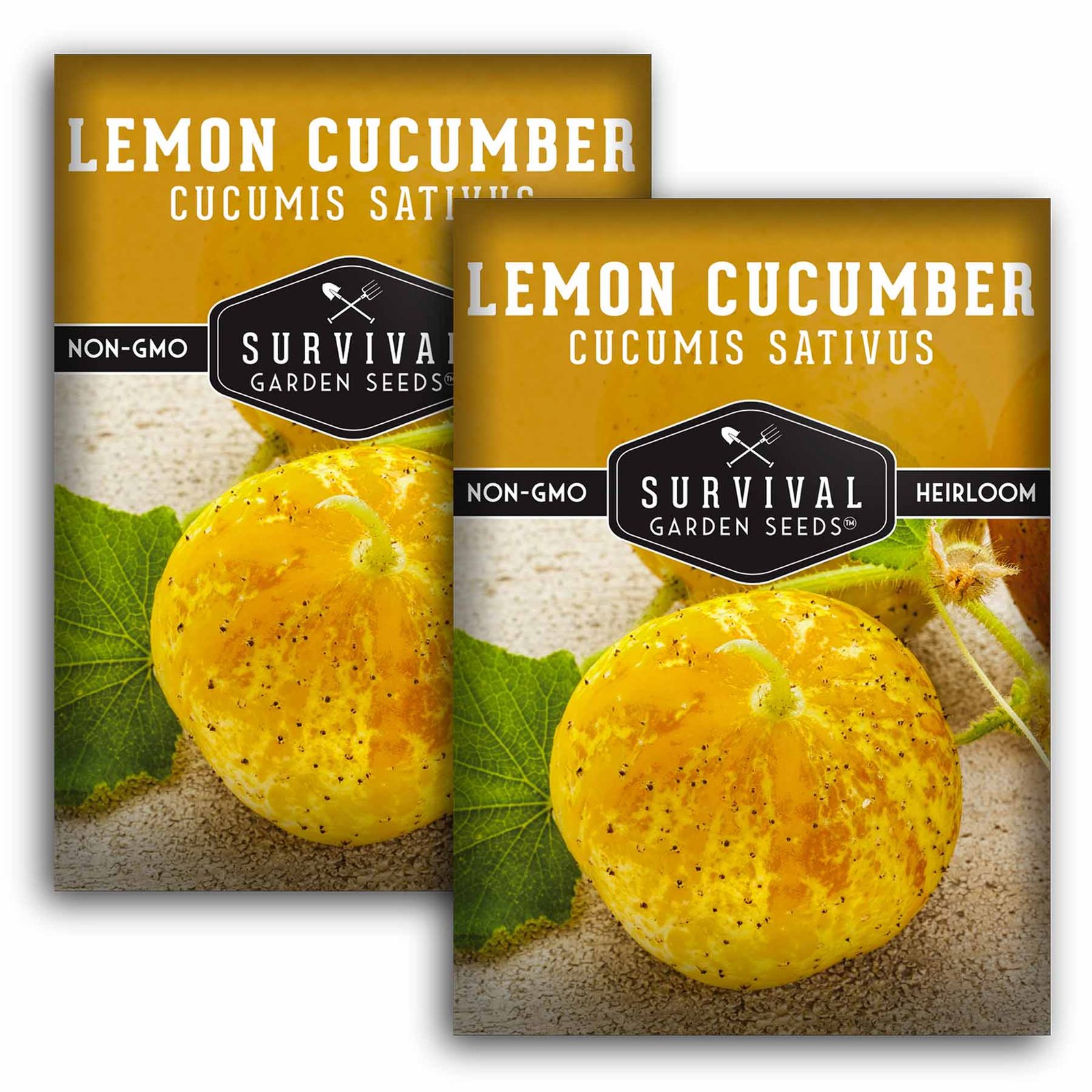 Lemon-Cucumber-01.2.jpg