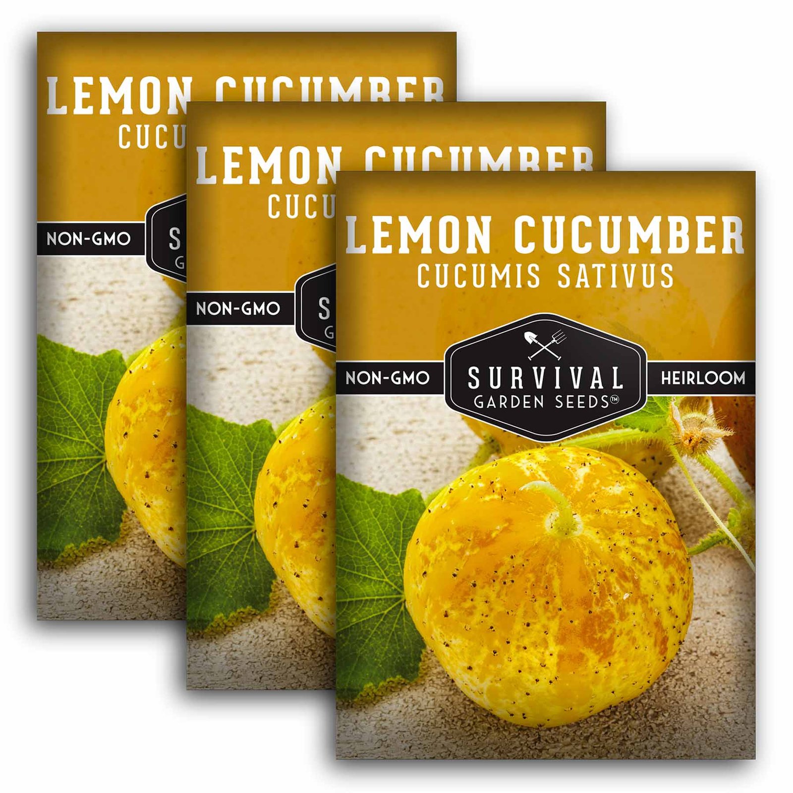 Lemon-Cucumber-01.3.jpg