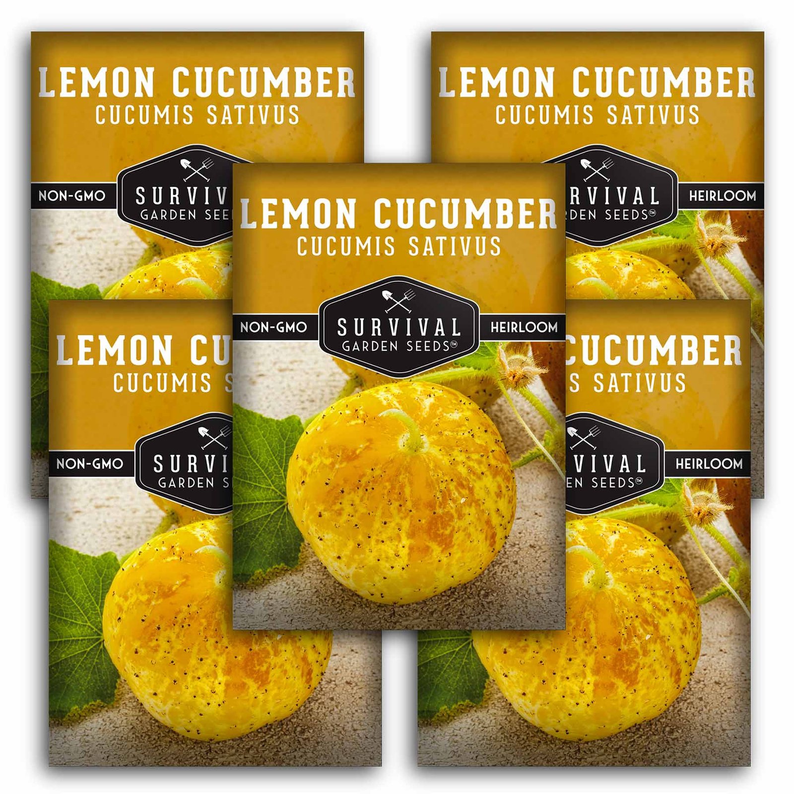 Lemon-Cucumber-01.5.jpg