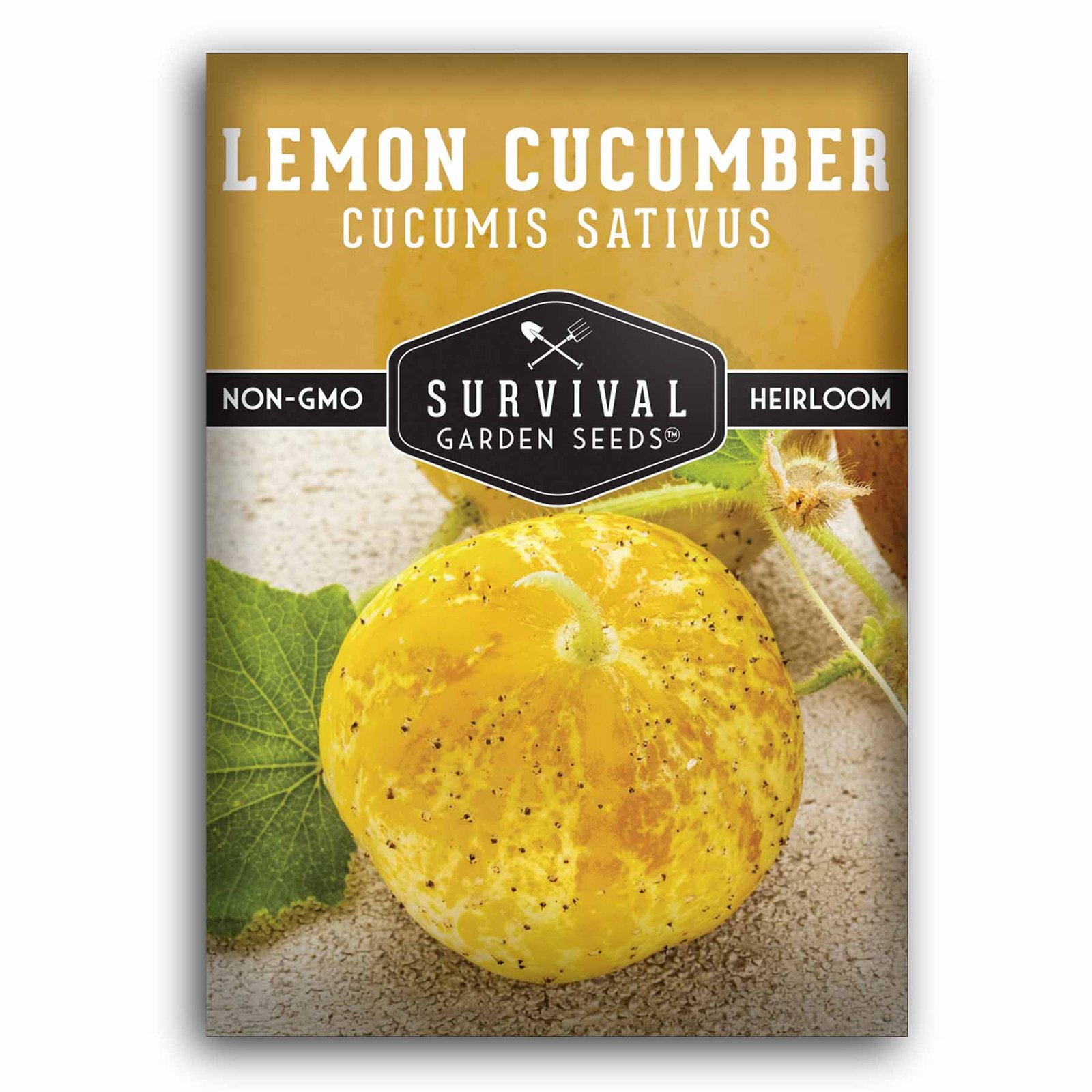 Lemon-Cucumber-01.jpg