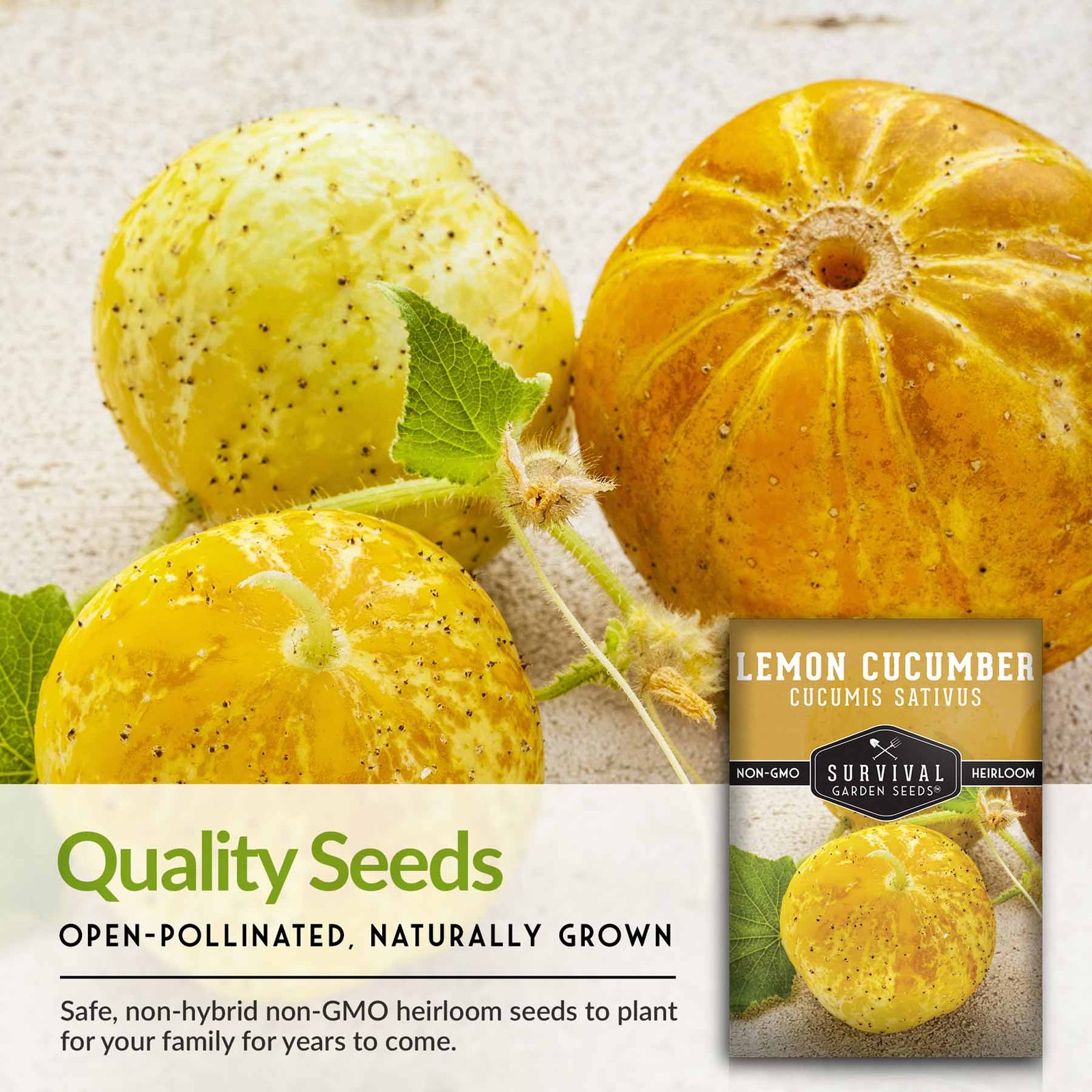 Lemon-Cucumber-07.jpg