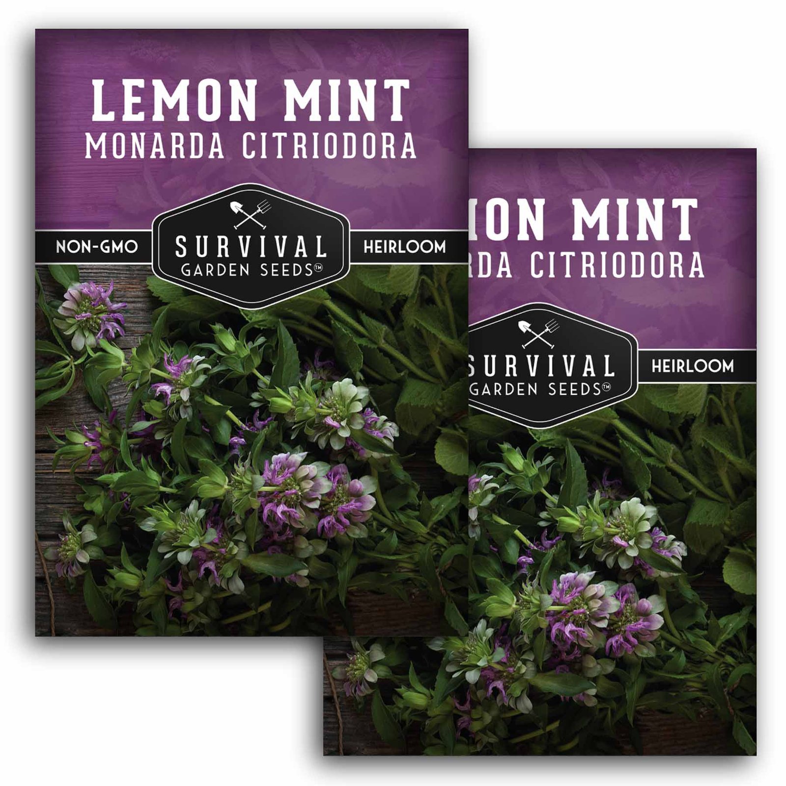 LemonMint-1.2.jpg