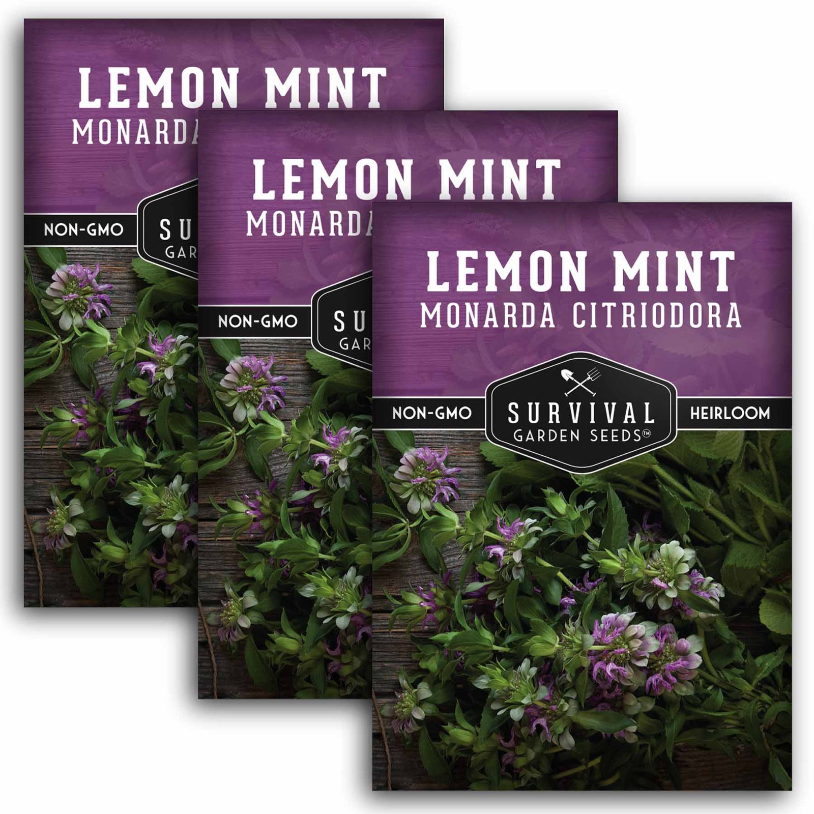 LemonMint-1.3.jpg