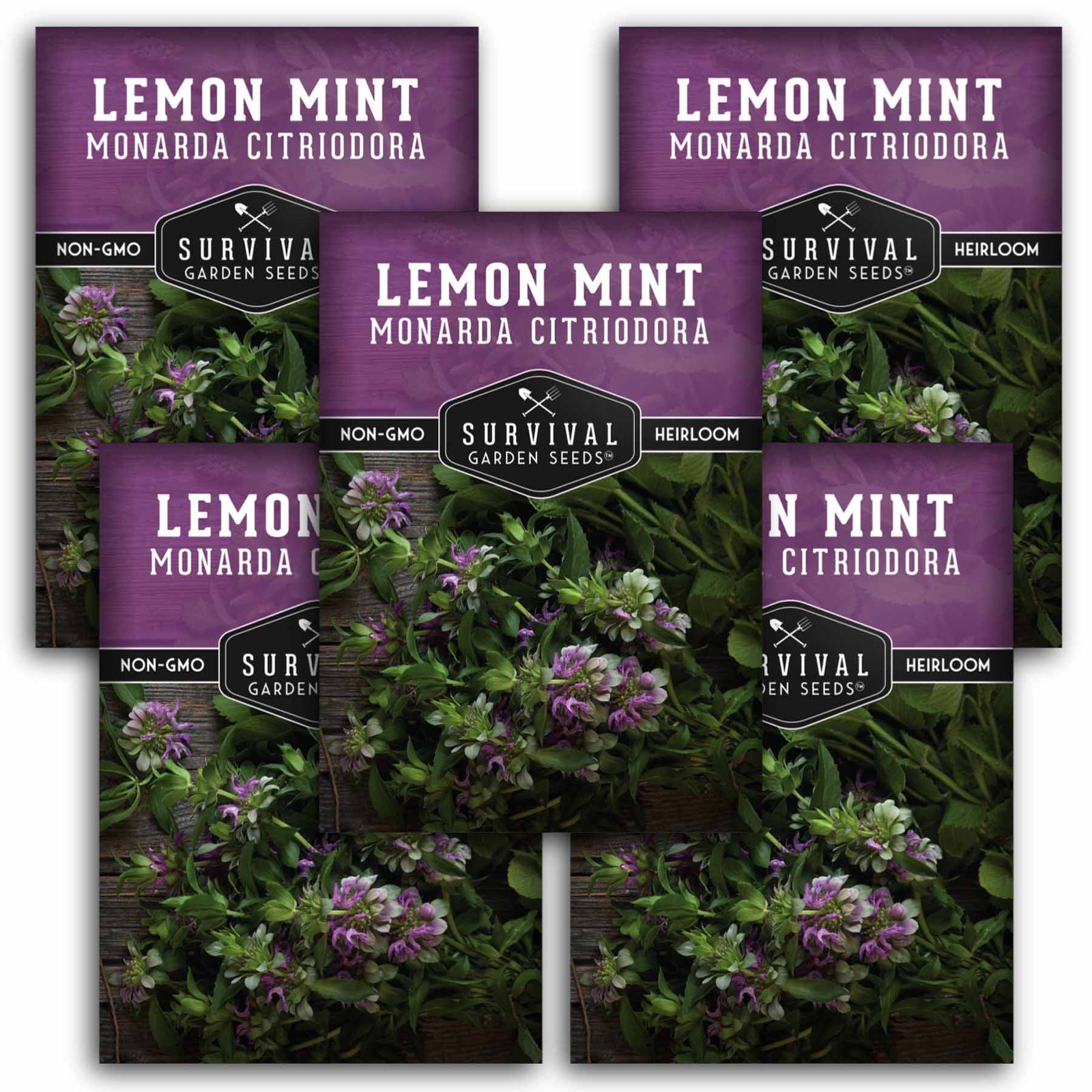 LemonMint-1.5.jpg