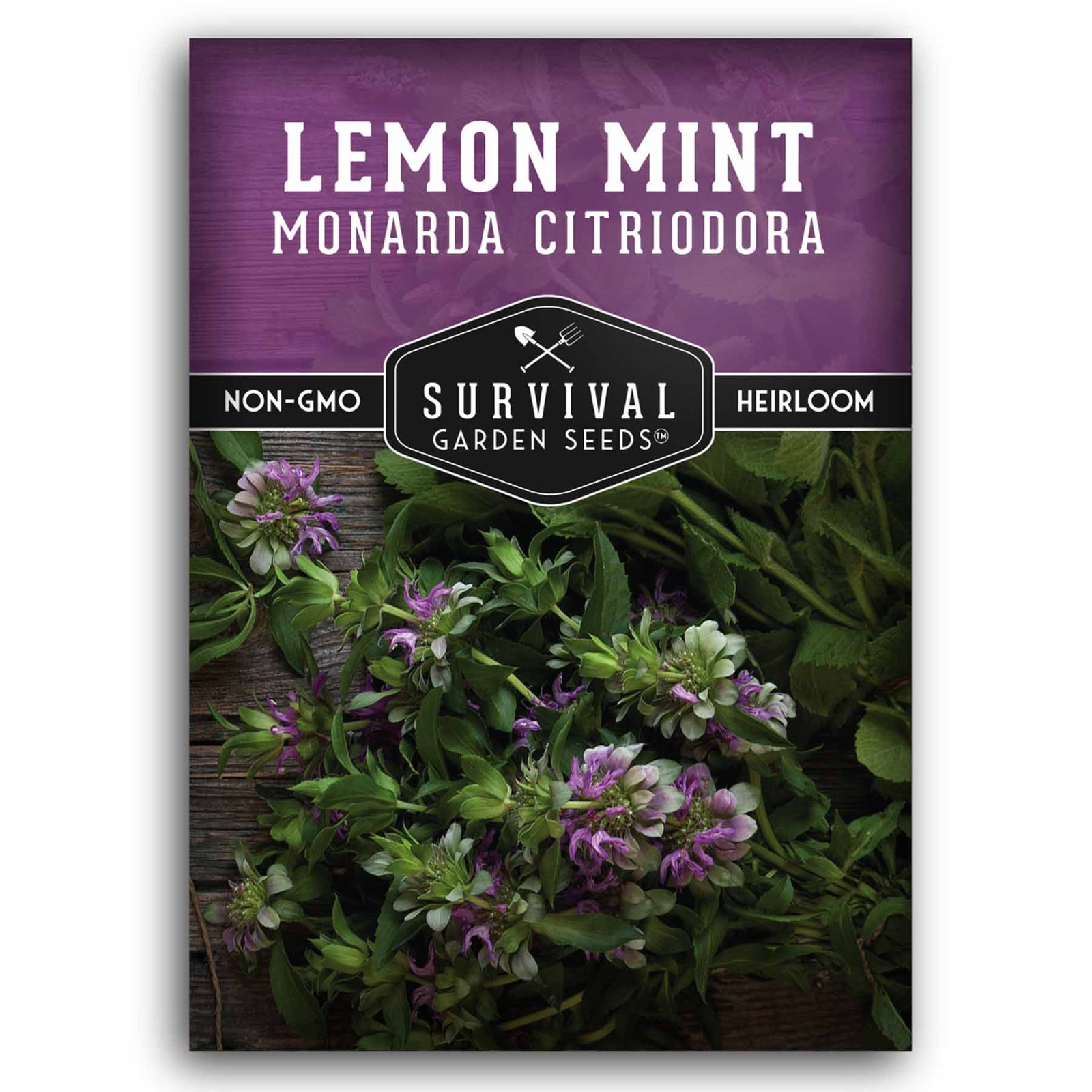 LemonMint-1.jpg