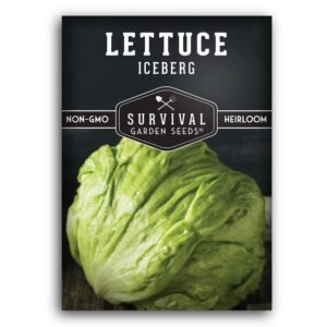 Iceberg Lettuce Seeds – Crisp, Mild Heirloom Head Lettuce | Cool-Season Variety for Wedge Salads & Sandwich Crunch