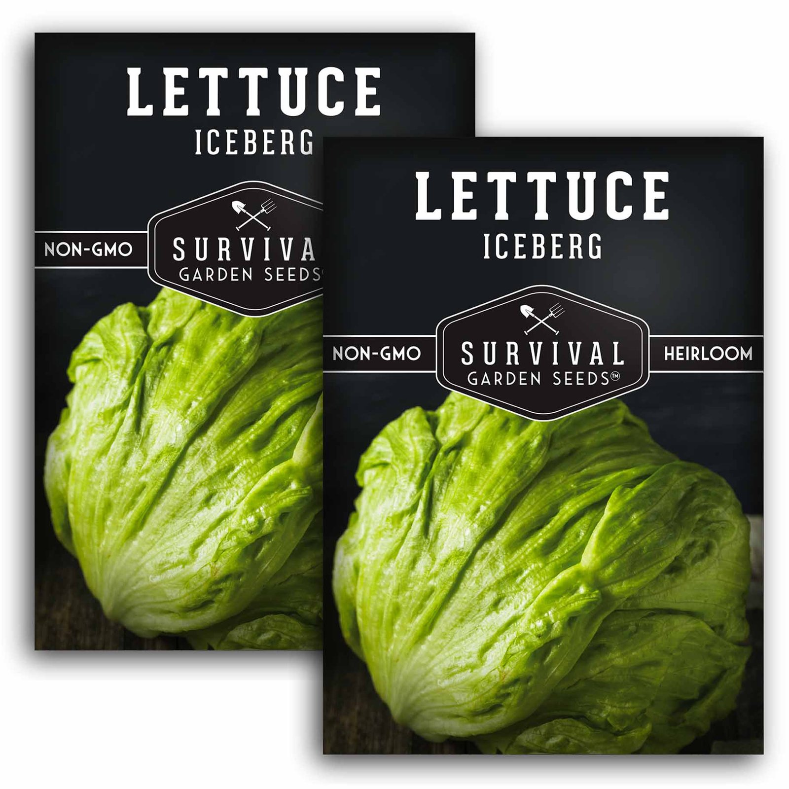 Lettuce-Iceberg-01.2.jpg