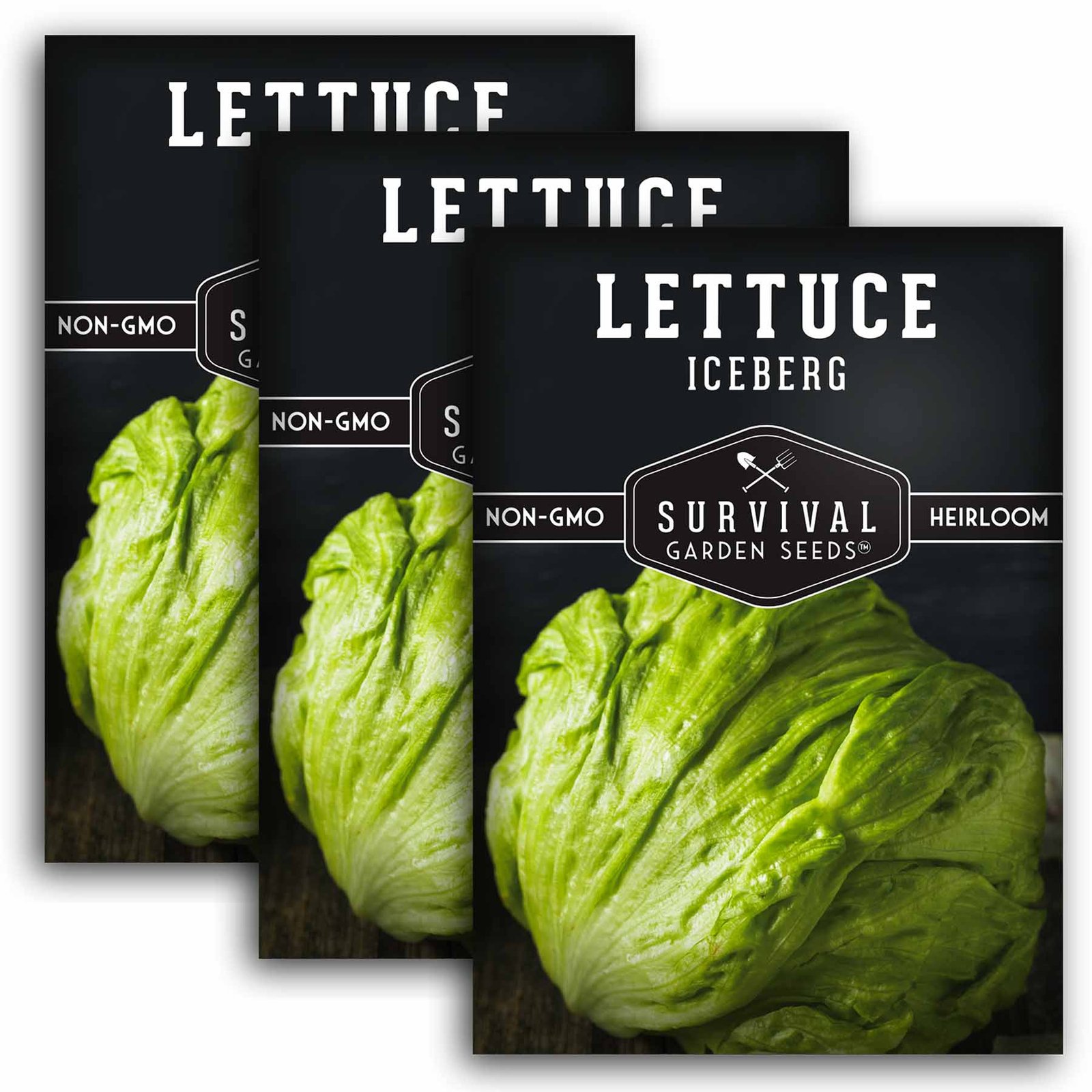 Lettuce-Iceberg-01.3.jpg