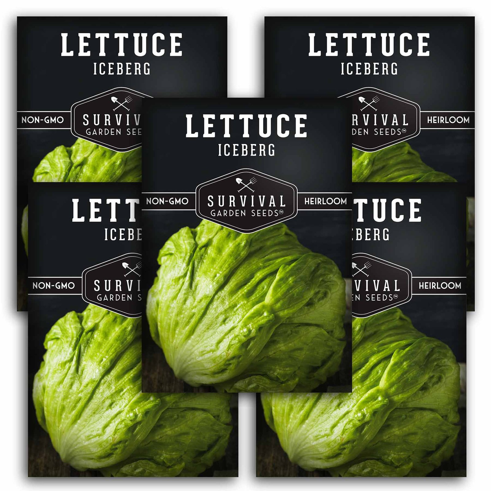 Lettuce-Iceberg-01.5.jpg
