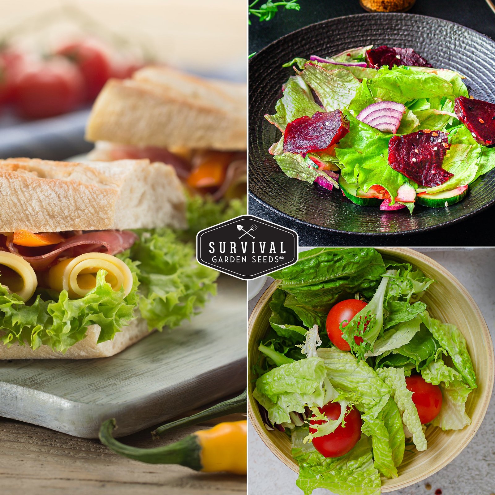 Lettuce-Iceberg-05.jpg
