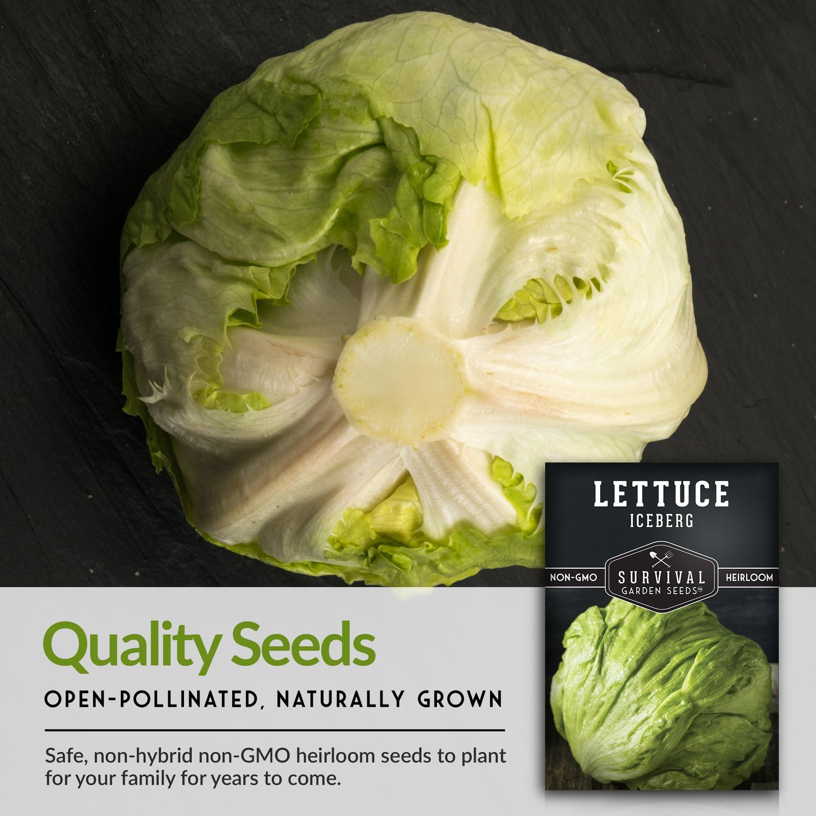 Lettuce-Iceberg-07.jpg