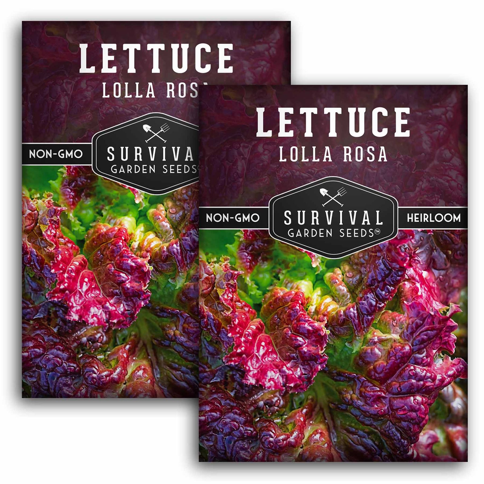 Lettuce-Lolla-Rosa-01.2.jpg