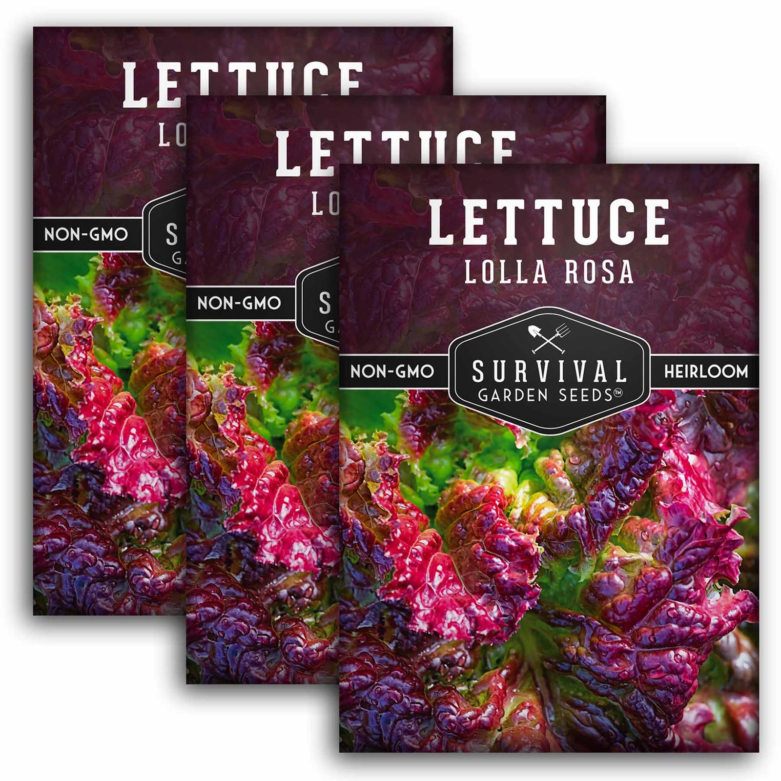 Lettuce-Lolla-Rosa-01.3.jpg