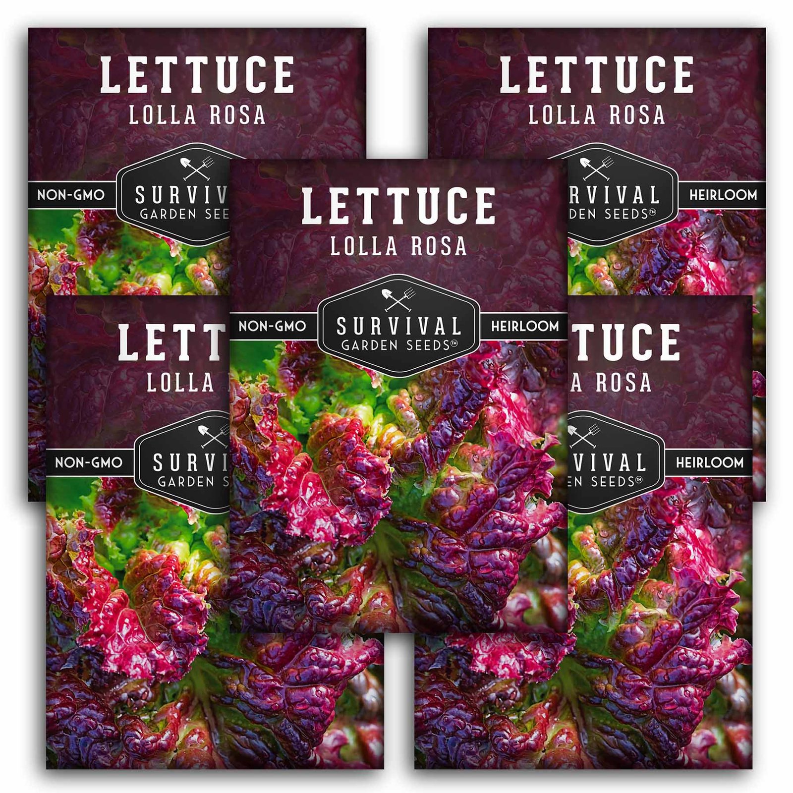Lettuce-Lolla-Rosa-01.5.jpg