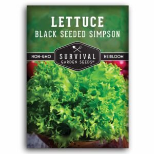 Black Seeded Simpson Lettuce Seeds – Heirloom Loose-Leaf Variety for Fast, Easy Growth | Crisp, Mild Greens for Salads & Hydroponics